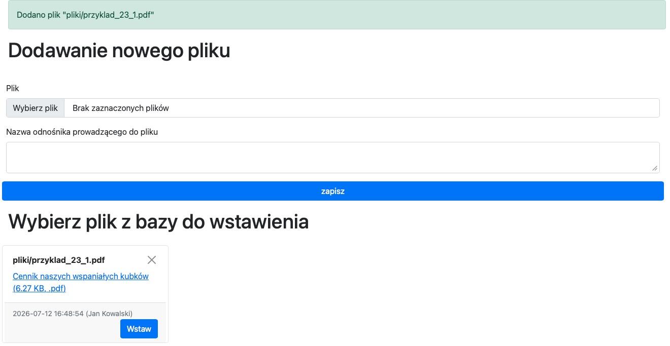 plik po dodaniu do bazy serwisu