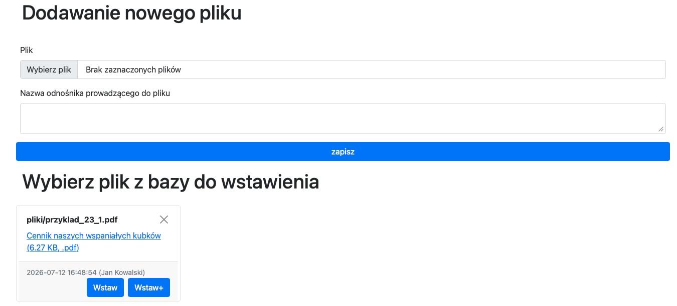 wstawianie pliku z dodatkowymi danymi